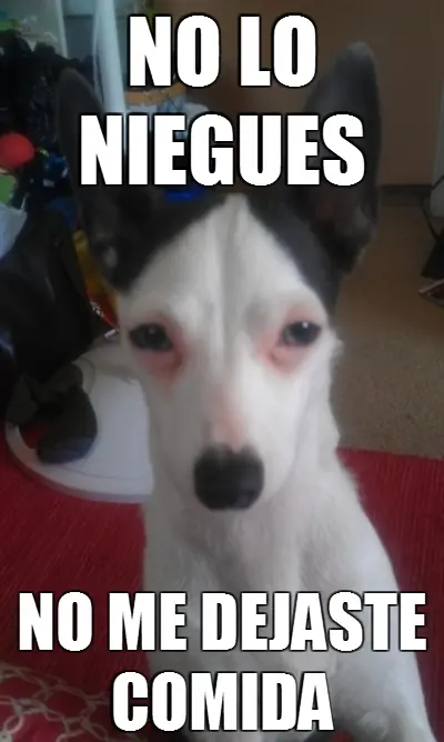 Siii...100% Nuevos Fails y otros 2da parte