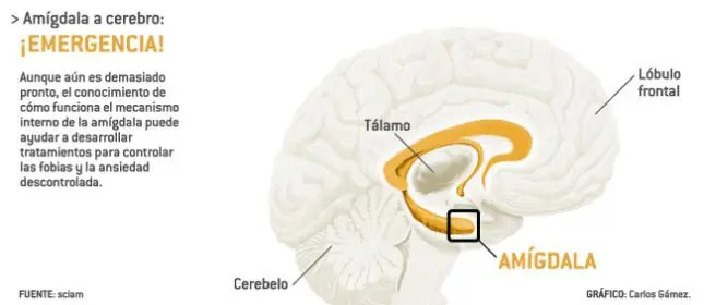 Cómo funciona el miedo?