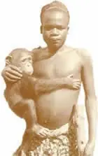 indigena