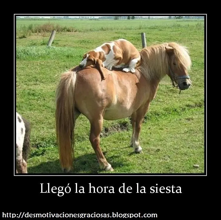 los del
