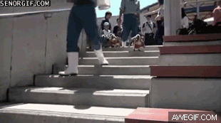 Gifs