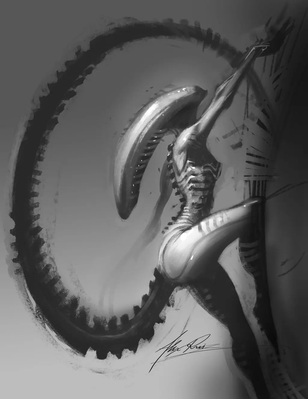 Predator