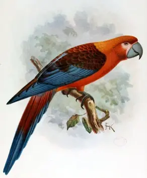 animales extintos