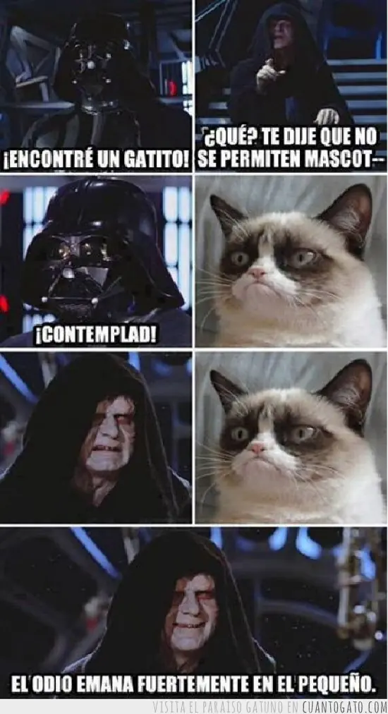 Pasa troesma que te dejo imagenes wachas