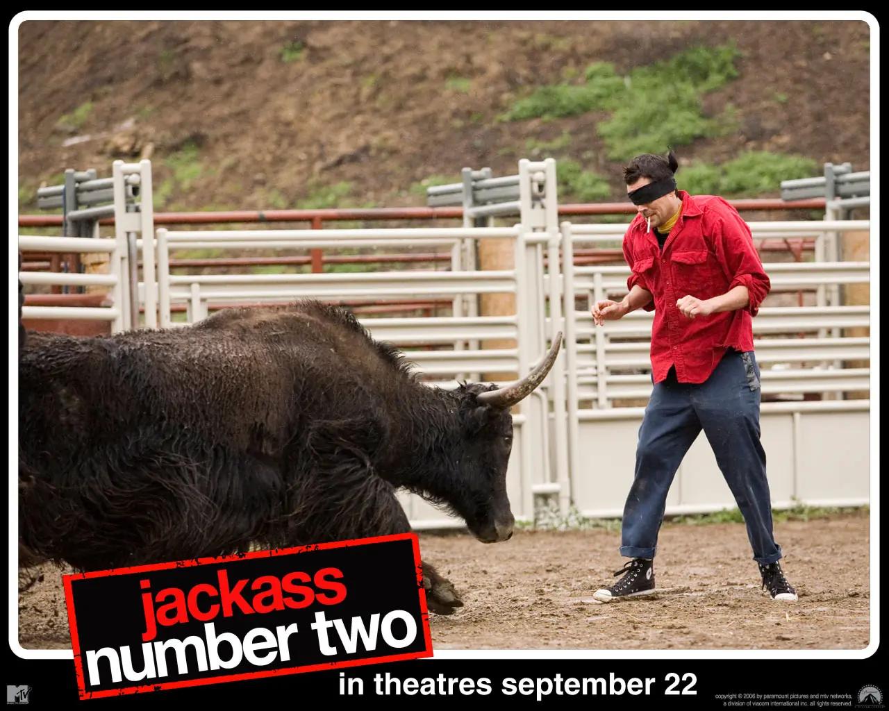 jackass