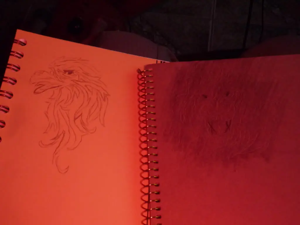 ¿te gustaria tener cuadernos modernos pero baratos? Entra