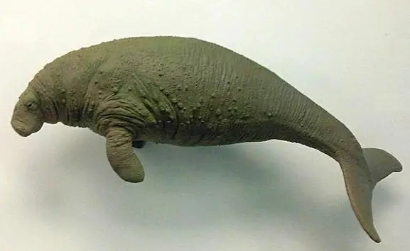 paleontologia