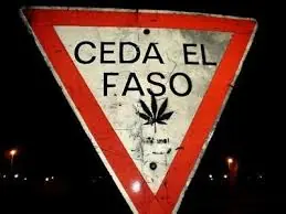 ¿Que es un Alma Gemela? Te lo explico brevemente