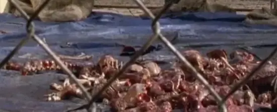 6 Cosas Interesantes de Walking Dead Final de Temporada