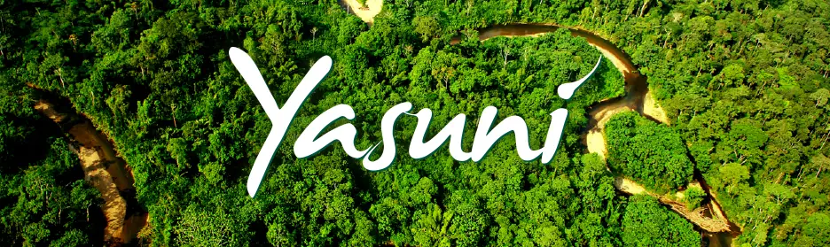 Impresionantes imágenes de la biodiversidad del Yasuní