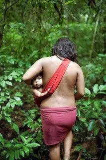 indigenas