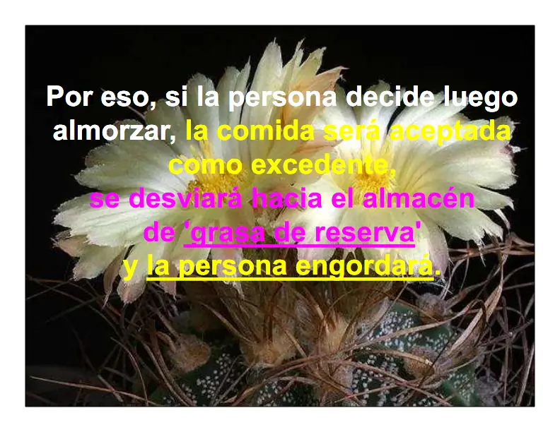 cuando