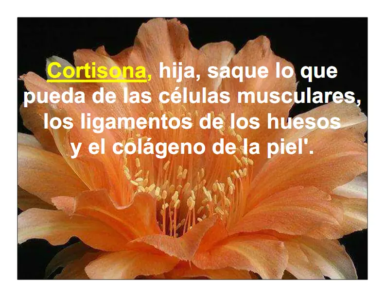 pasa