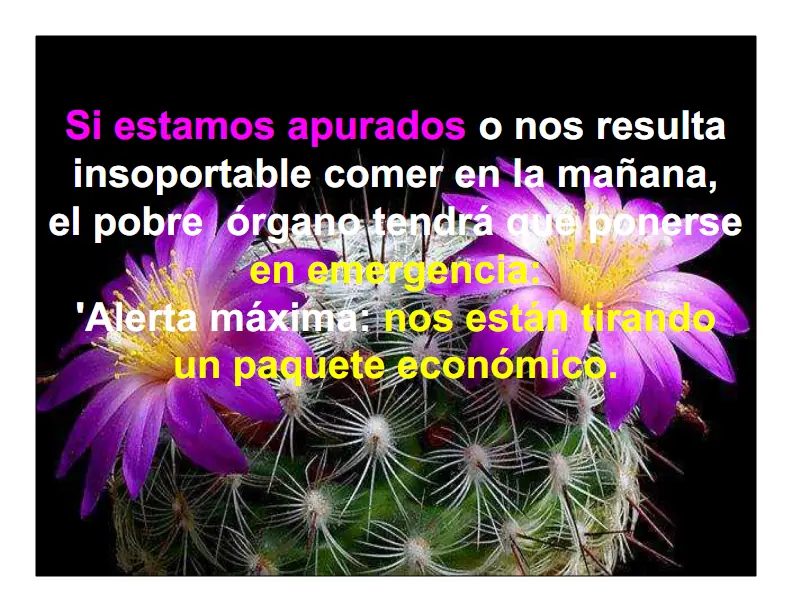 cuando