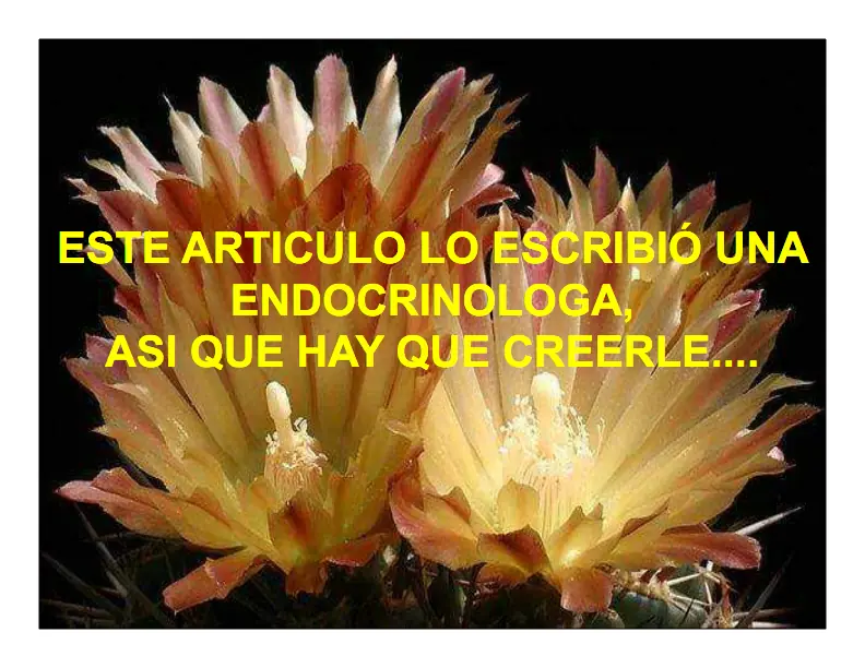 cuando