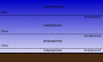terrestres
