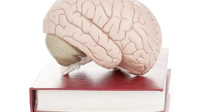 Cinco refranes que la neurociencia puede explicar