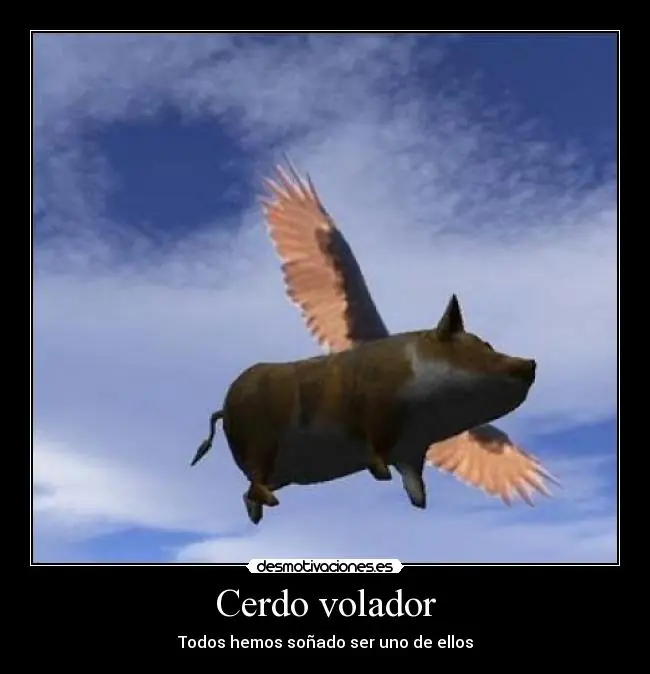 carne