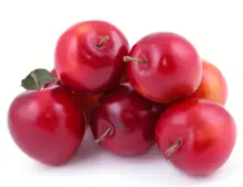 frutos rojos