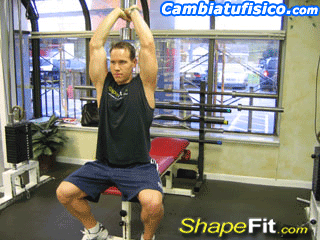 gimnasio rutina de triceps