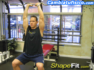 rutina triceps
