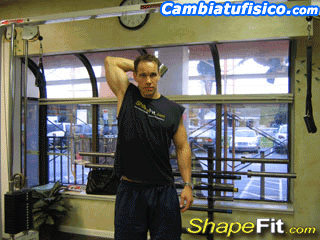 rutina triceps