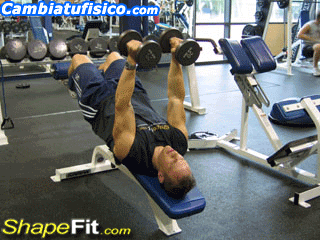 triceps