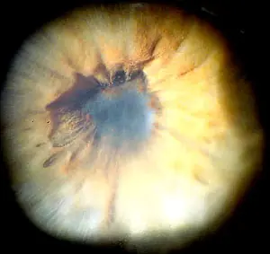 El criminal mas grande de todos : Estados Unidos