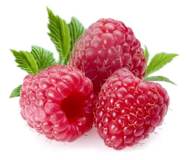 frutillas