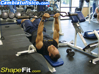 rutina triceps