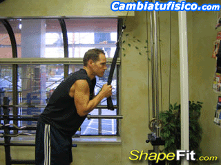 gimnasio rutina de triceps