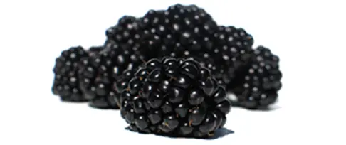 frambuesas