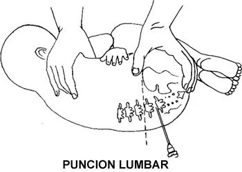 El criminal mas grande de todos : Estados Unidos