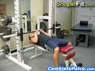 Gimnasio 6: Triceps