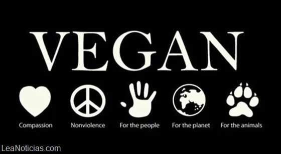 contras de ser vegetariano