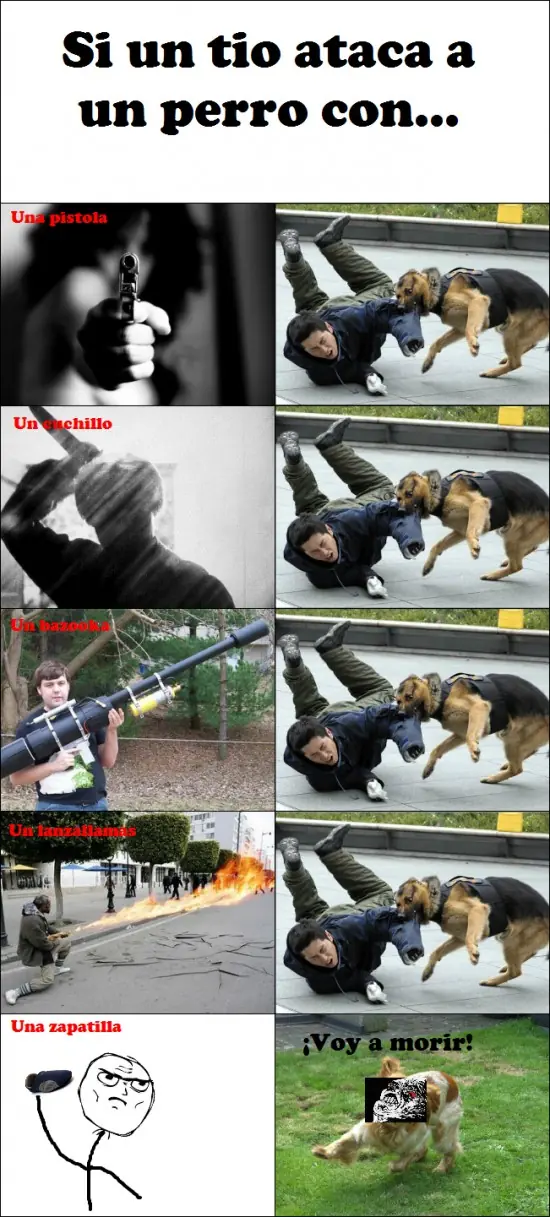 humor