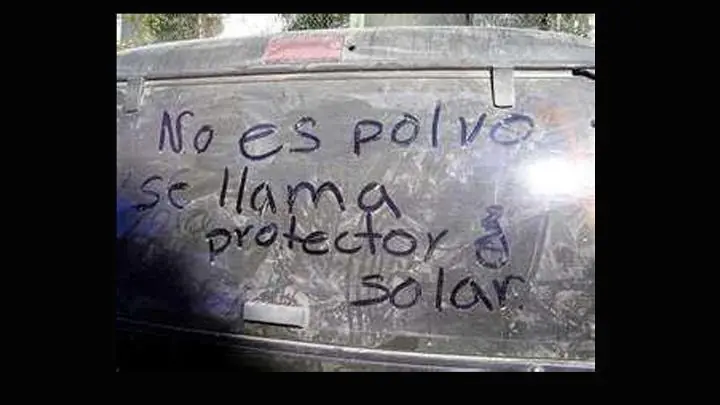 vistos en la calle