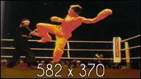 bloodsport