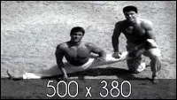 jcvd
