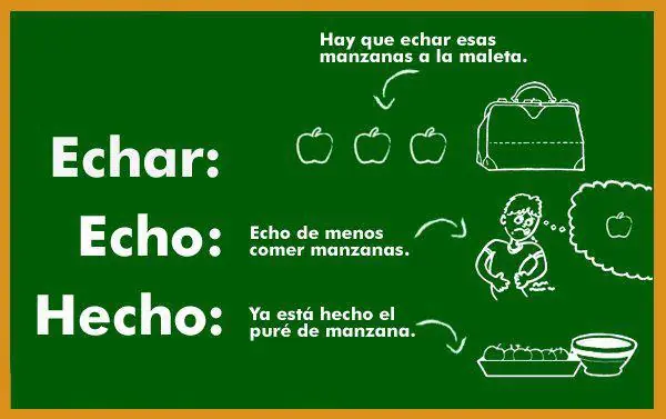 reglas