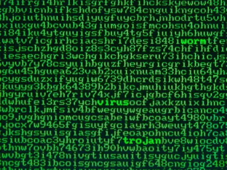 hacker