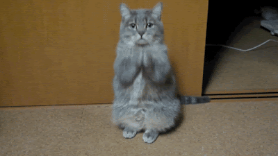 Mas gifs para ti,para mi,para jesus,el que esta ahi! (I)
