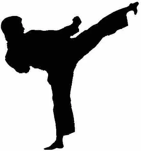 Artes marciales para adelgazar