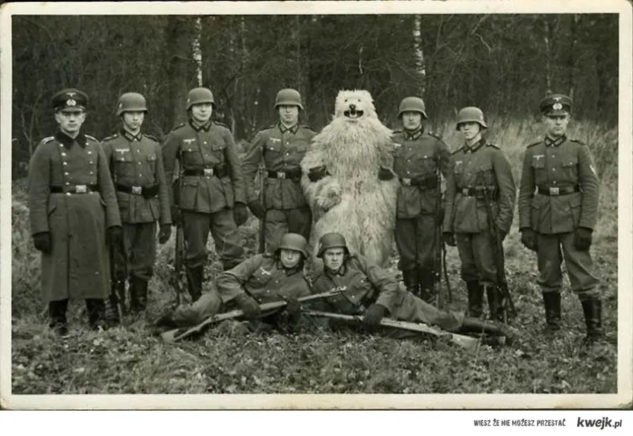 Oso Nazi - Oso Espía Aleman