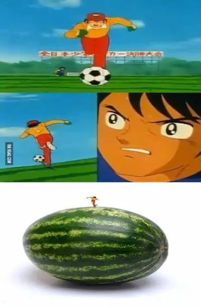 reimos