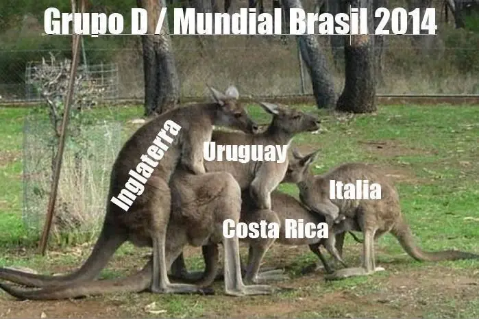 reimos