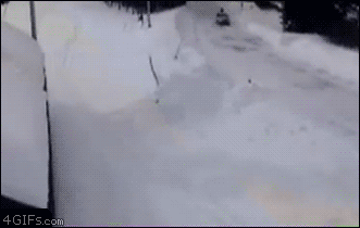 Gifs