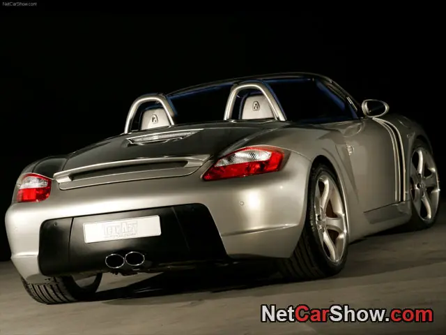porsches tuning por techart