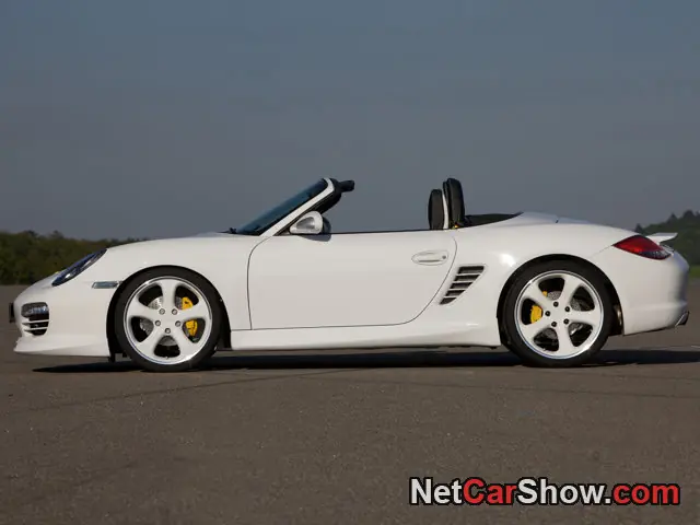 porsches tuning por techart