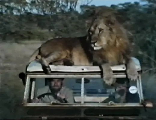 Christian el leon